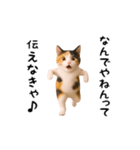 エッホエッホ猫（関西弁）（個別スタンプ：6）
