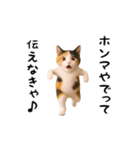 エッホエッホ猫（関西弁）（個別スタンプ：7）