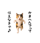 エッホエッホ猫（関西弁）（個別スタンプ：8）
