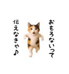 エッホエッホ猫（関西弁）（個別スタンプ：10）