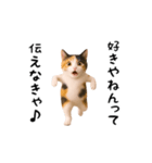 エッホエッホ猫（関西弁）（個別スタンプ：11）