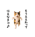 エッホエッホ猫（関西弁）（個別スタンプ：12）