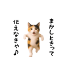 エッホエッホ猫（関西弁）（個別スタンプ：14）