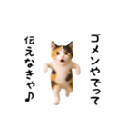 エッホエッホ猫（関西弁）（個別スタンプ：17）