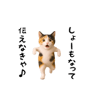 エッホエッホ猫（関西弁）（個別スタンプ：18）