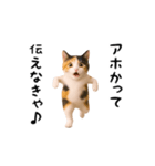 エッホエッホ猫（関西弁）（個別スタンプ：22）
