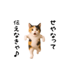 エッホエッホ猫（関西弁）（個別スタンプ：24）