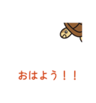 毎日うみがめ（個別スタンプ：1）