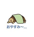 毎日うみがめ（個別スタンプ：2）