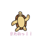 毎日うみがめ（個別スタンプ：4）