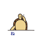 毎日うみがめ（個別スタンプ：6）