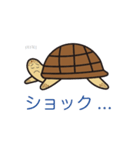 毎日うみがめ（個別スタンプ：7）