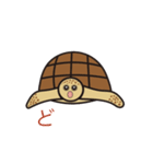 毎日うみがめ（個別スタンプ：9）