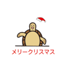 毎日うみがめ（個別スタンプ：11）