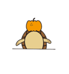 毎日うみがめ（個別スタンプ：12）