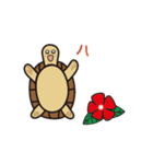 毎日うみがめ（個別スタンプ：13）