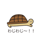 毎日うみがめ（個別スタンプ：14）