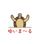 毎日うみがめ（個別スタンプ：15）