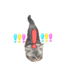 子猫のまいにちまいにち（個別スタンプ：2）
