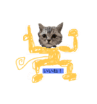 子猫のまいにちまいにち（個別スタンプ：4）