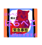子猫のまいにちまいにち（個別スタンプ：7）