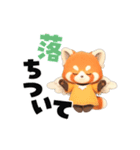 動く！レッサーパンダさん（個別スタンプ：10）
