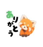 動く！レッサーパンダさん（個別スタンプ：18）
