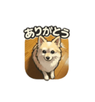 ロイのあいさつスタンプ（個別スタンプ：1）