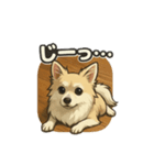 ロイのあいさつスタンプ（個別スタンプ：8）