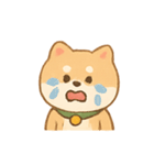 ぽよ柴のドタバタリアクション（個別スタンプ：3）