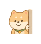ぽよ柴のドタバタリアクション（個別スタンプ：9）