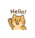 ぽちゃトラねこ感情パレード（個別スタンプ：1）