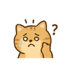 ぽちゃトラねこ感情パレード（個別スタンプ：3）
