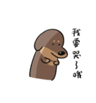 ラテの日常2.0-- A GAN（個別スタンプ：17）