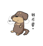 ラテの日常2.0-- A GAN（個別スタンプ：39）