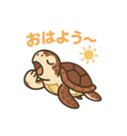 ウミガメ日常会話（個別スタンプ：1）