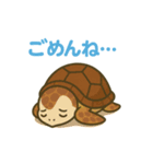 ウミガメ日常会話（個別スタンプ：2）