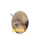 動くマルクまる！（個別スタンプ：1）