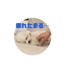 動くマルクまる！（個別スタンプ：2）