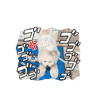 動くマルクまる！（個別スタンプ：5）