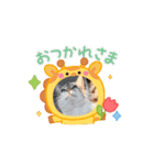 癒されニャンコ（個別スタンプ：2）