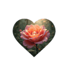 綺麗な薔薇.Beautiful rose.Healing.（個別スタンプ：6）