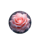 綺麗な薔薇.Beautiful rose.Healing.（個別スタンプ：13）