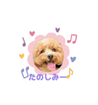 まるぷーのおとすけ③（個別スタンプ：12）