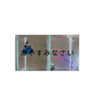 oyasumi挨拶（個別スタンプ：8）