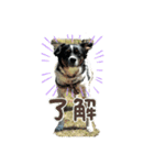 のびのびワンワン2（個別スタンプ：7）