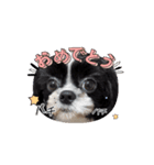 もぷの動くスタンプ②（個別スタンプ：2）