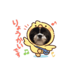 もぷの動くスタンプ②（個別スタンプ：6）
