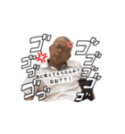 DREAMSスタンプ！！（個別スタンプ：16）