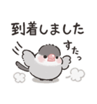 シックな文鳥さん（個別スタンプ：21）